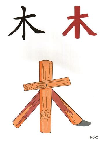 部首木的字